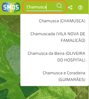 Menu Superior - Ferramenta Pesquisar