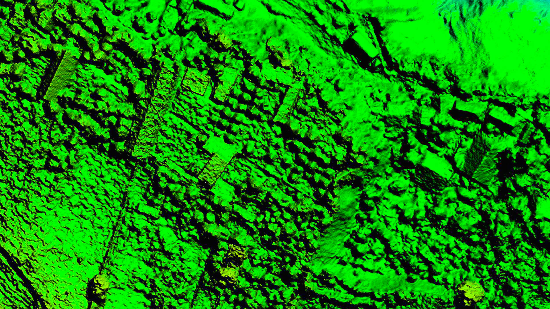 Mapa verde